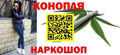 шишки Пыть-Ях