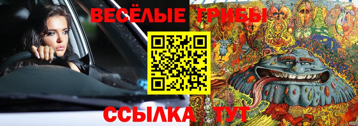 Похвистнево  Псилоцибиновые грибы Cubensis  Вход с VPN 