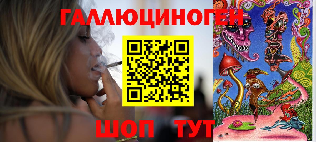 Галлюциногенные грибы Psilocybe Похвистнево